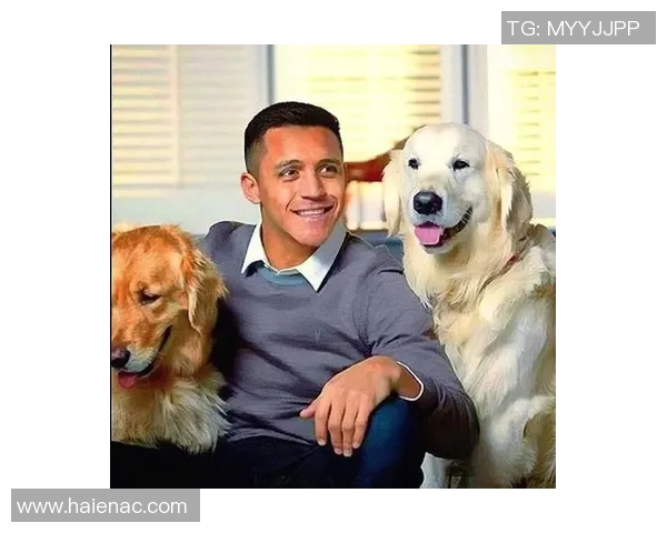 狗狗户外足球乐趣无限与宠物共度快乐时光的最佳选择